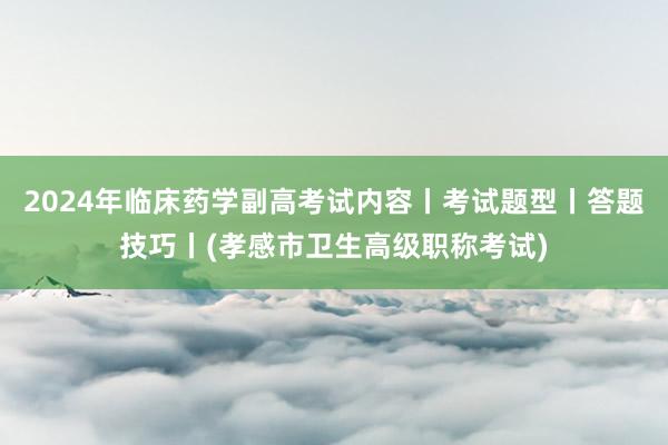 2024年临床药学副高考试内容丨考试题型丨答题技巧丨(孝感市卫生高级职称考试)