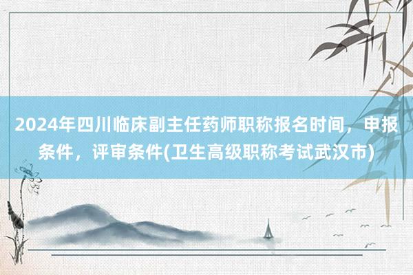 2024年四川临床副主任药师职称报名时间，申报条件，评审条件(卫生高级职称考试武汉市)