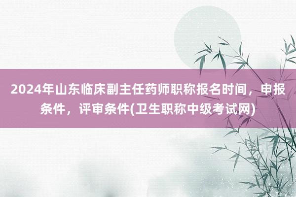 2024年山东临床副主任药师职称报名时间，申报条件，评审条件(卫生职称中级考试网)