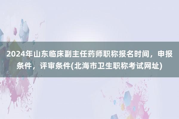 2024年山东临床副主任药师职称报名时间，申报条件，评审条件(北海市卫生职称考试网址)