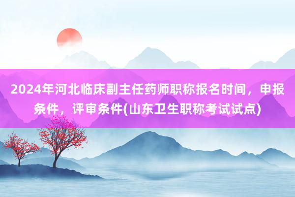 2024年河北临床副主任药师职称报名时间，申报条件，评审条件(山东卫生职称考试试点)