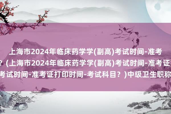 上海市2024年临床药学学(副高)考试时间-准考证打印时间-考试科目？(上海市2024年临床药学学(副高)考试时间-准考证打印时间-考试科目？)中级卫生职称考试证书