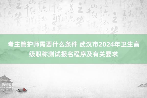 考主管护师需要什么条件 武汉市2024年卫生高级职称测试报名程序及有关要求
