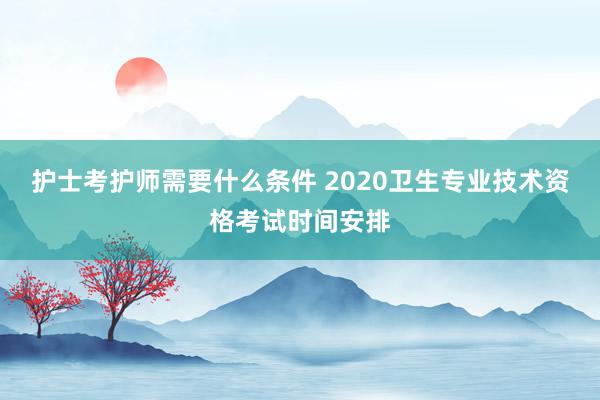 护士考护师需要什么条件 2020卫生专业技术资格考试时间安排