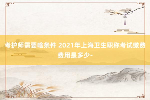 考护师需要啥条件 2021年上海卫生职称考试缴费费用是多少-