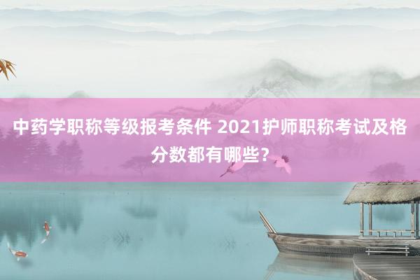 中药学职称等级报考条件 2021护师职称考试及格分数都有哪些？