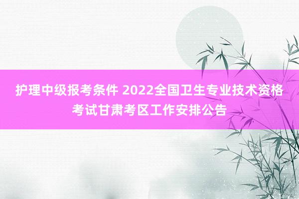 护理中级报考条件 2022全国卫生专业技术资格考试甘肃考区工作安排公告