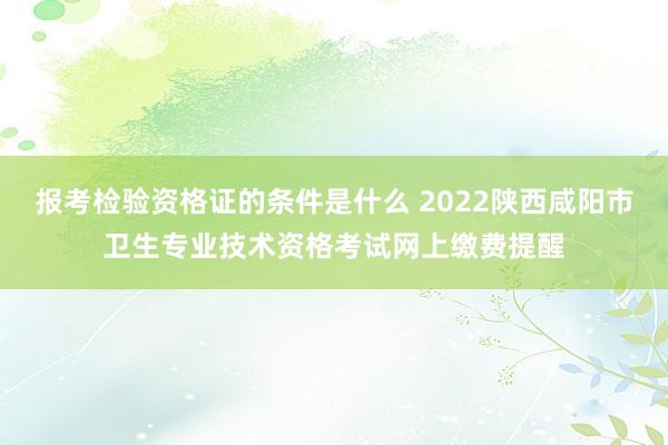 报考检验资格证的条件是什么 2022陕西咸阳市卫生专业技术资格考试网上缴费提醒
