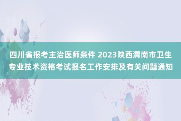 四川省报考主治医师条件 2023陕西渭南市卫生专业技术资格考试报名工作安排及有关问题通知