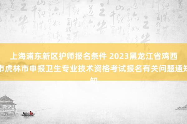上海浦东新区护师报名条件 2023黑龙江省鸡西市虎林市申报卫生专业技术资格考试报名有关问题通知