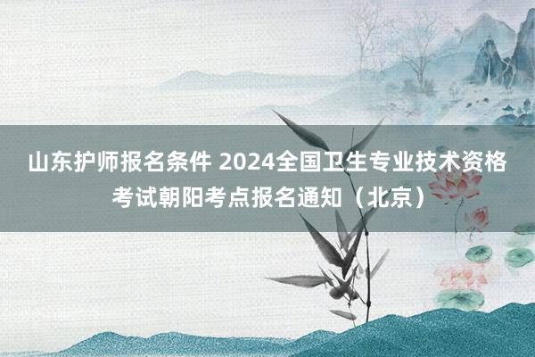 山东护师报名条件 2024全国卫生专业技术资格考试朝阳考点报名通知（北京）