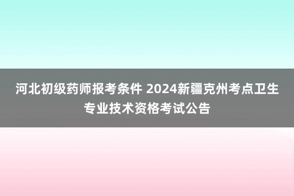 河北初级药师报考条件 2024新疆克州考点卫生专业技术资格考试公告