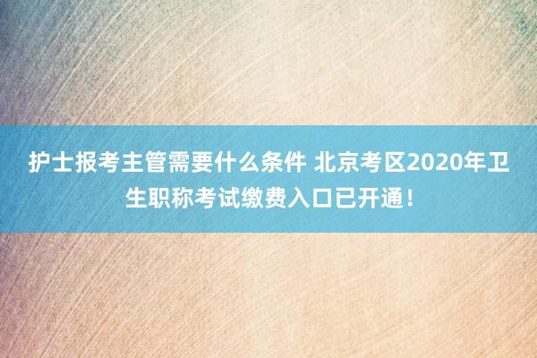 护士报考主管需要什么条件 北京考区2020年卫生职称考试缴费入口已开通！