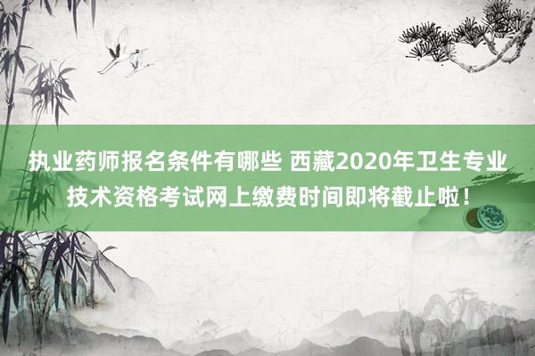 执业药师报名条件有哪些 西藏2020年卫生专业技术资格考试网上缴费时间即将截止啦！