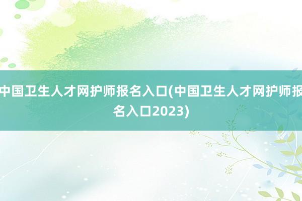 中国卫生人才网护师报名入口(中国卫生人才网护师报名入口2023)
