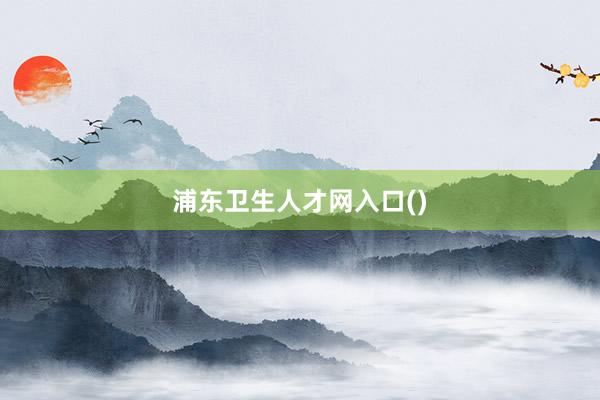浦东卫生人才网入口()