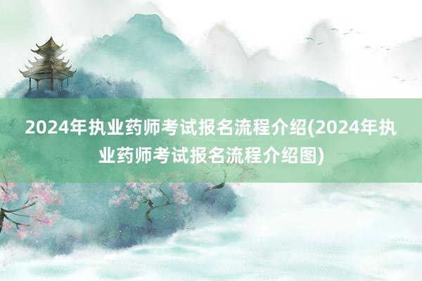 2024年执业药师考试报名流程介绍(2024年执业药师考试报名流程介绍图)