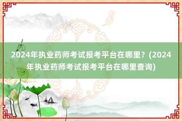 2024年执业药师考试报考平台在哪里？(