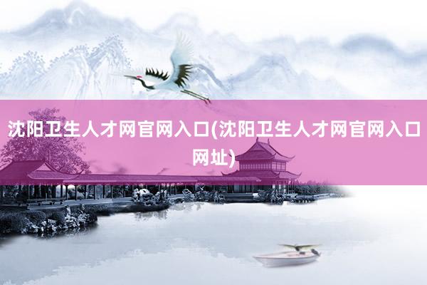沈阳卫生人才网官网入口(沈阳卫生人才网官网入口网址)