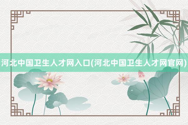 河北中国卫生人才网入口(河北中国卫生人才网官网)