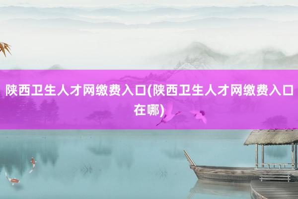 陕西卫生人才网缴费入口(陕西卫生人才网缴费入口在哪)