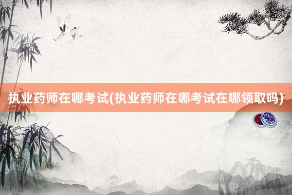 执业药师在哪考试(执业药师在哪考试在哪领取吗)