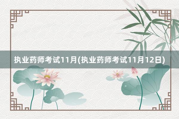 执业药师考试11月(执业药师考试11月12日)