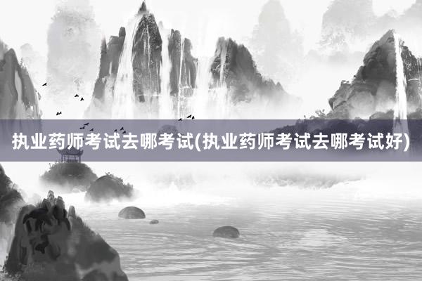 执业药师考试去哪考试(执业药师考试去哪考试好)