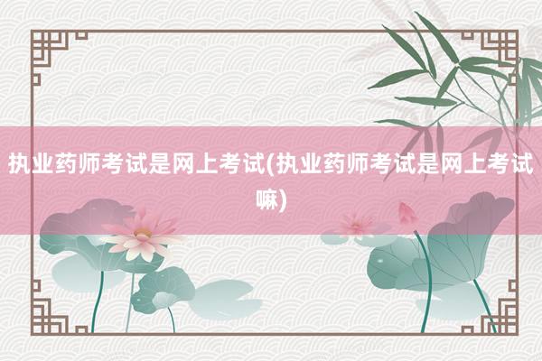 执业药师考试是网上考试(执业药师考试是网