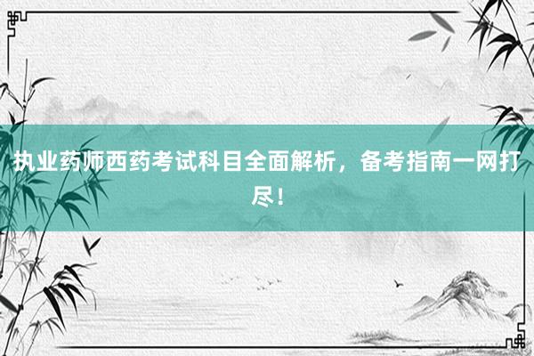 执业药师西药考试科目全面解析，备考指南一