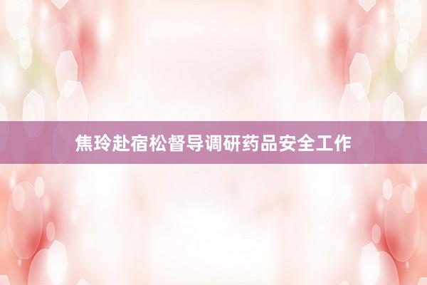 焦玲赴宿松督导调研药品安全工作