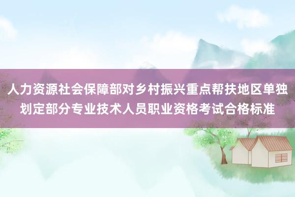 人力资源社会保障部对乡村振兴重点帮扶地区单独划定部分专业技术人员职业资格考试合格标准
