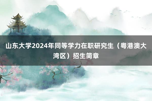 山东大学2024年同等学力在职研究生（粤港澳大湾区）招生简章