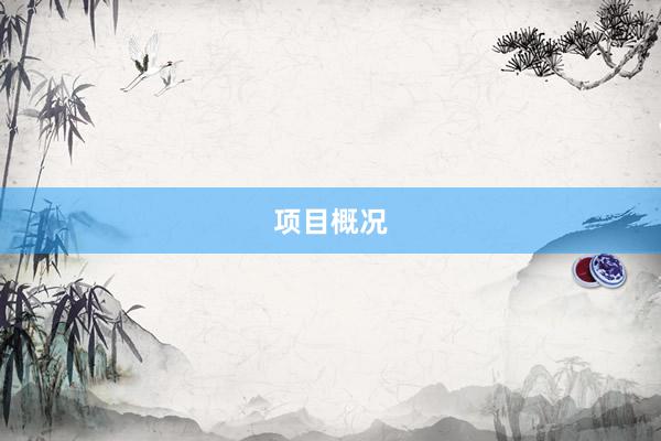 项目概况
