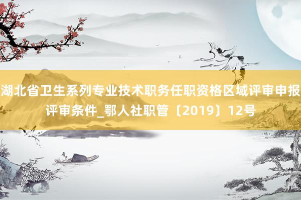湖北省卫生系列专业技术职务任职资格区域评审申报评审条件_鄂人社职管〔2019〕12号