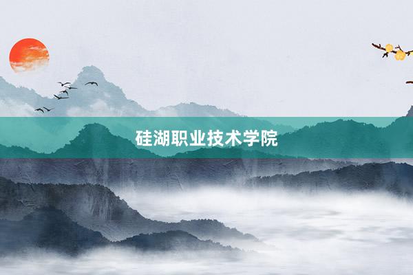 硅湖职业技术学院