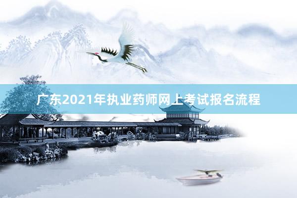 广东2021年执业药师网上考试报名流程