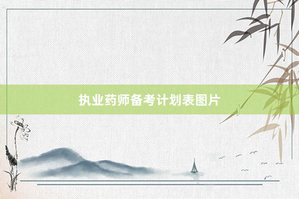 执业药师备考计划表图片