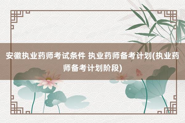 安徽执业药师考试条件 执业药师备考计划(执业药师备考计划阶段)