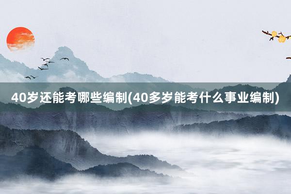 40岁还能考哪些编制(40多岁能考什么事
