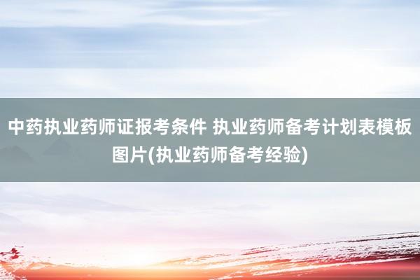 中药执业药师证报考条件 执业药师备考计划表模板图片(执业药师