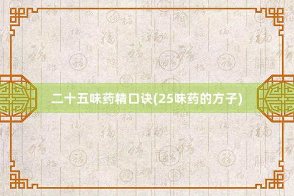 二十五味药精口诀(25味药的方子)
