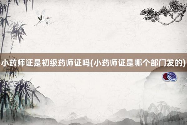 小药师证是初级药师证吗(小药师证是哪个部门发的)