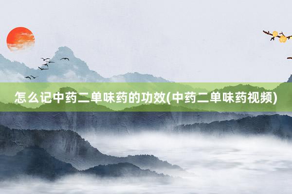 怎么记中药二单味药的功效(中药二单味药视频)