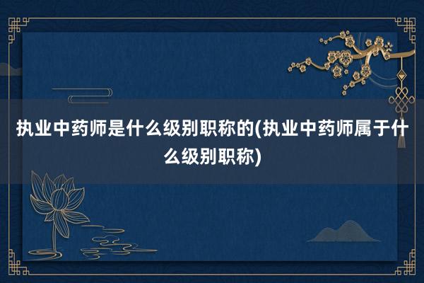 执业中药师是什么级别职称的(执业中药师属于什么级别职称)