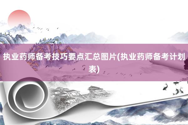 执业药师备考技巧要点汇总图片(执业药师备考计划表)