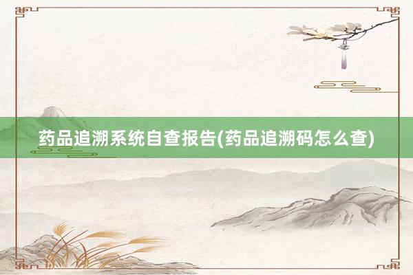 药品追溯系统自查报告(药品追溯码怎么查)