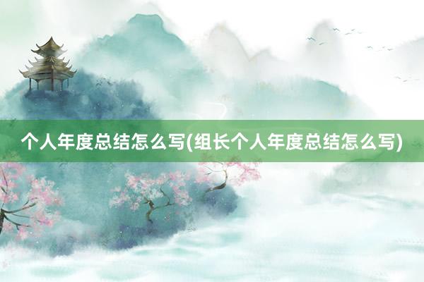 个人年度总结怎么写(组长个人年度总结怎么写)