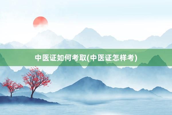 中医证如何考取(中医证怎样考)