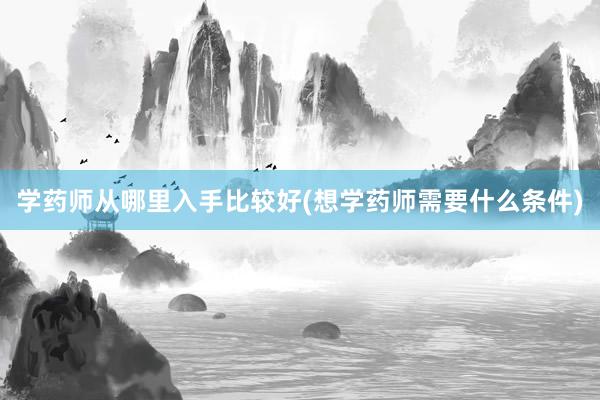 学药师从哪里入手比较好(想学药师需要什么条件)